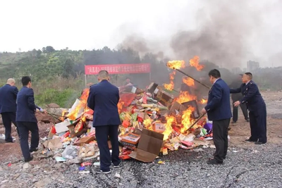 焚烧销毁